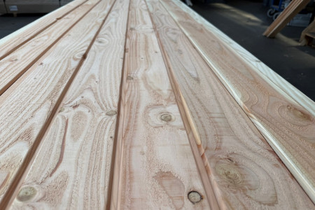 Nieuw!! Douglas Channelsiding planken
